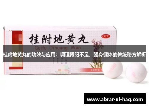 桂附地黄丸的功效与应用:调理肾阳不足,强身健体的传统秘方解析